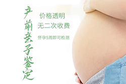 刚怀孕怒江怎么做胎儿亲子鉴定，在怒江怀孕几个月办理亲子鉴定准确率高吗